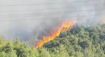 Manisa'daki Orman Yangınına Hızla Müdahale Ediliyor