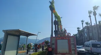 Marmaris'te Paraşütle İniş Sırasında Palmiye Ağaçlarına Takıldılar