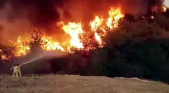 Sakarya'daki Orman Yangınında Kahramanların Mücadelesi