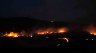 Sakarya-Bilecik Sınırında Orman Yangını Yeniden Alevlendi