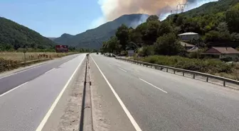 Sakarya'da Orman Yangını: D-650 Kara Yolu Trafiğe Kapatıldı