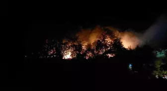Sakarya'da Orman Yangını ile İlgili 1 Kişi Tutuklandı