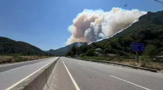 Sakarya Geyve'de yeni orman yangını (3)