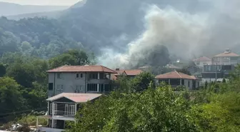 Geyve'de Orman Yangınına Hızlı Müdahale