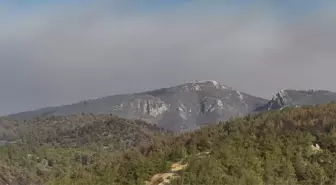 Sakarya'daki Orman Yangını 4. Günde Kısmen Kontrol Altına Alındı