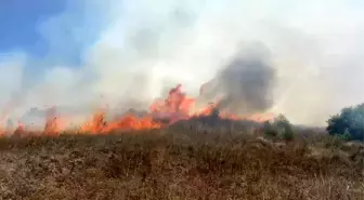 Sakarya'da Makilik Alanda Yangın: Ekipler Müdahale Ediyor
