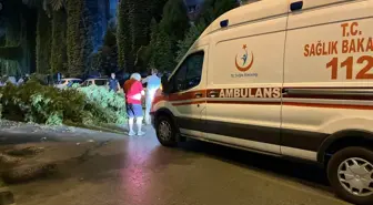 Motosiklet Sürücüsüne Ağaç Dalları Düştü, Yaralandı