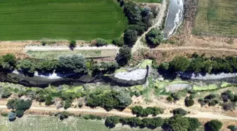 Tunca Nehri'nin kuruma noktasına geldiği Edirne'de, çeltik üreticisi tedirgin
