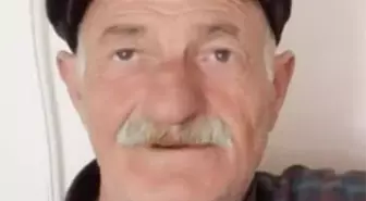 Tunceli'de Otomobilin Çarptığı Yaşlı Adam Hayatını Kaybetti