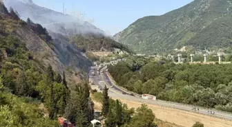 Sakarya'da Orman Yangını Kontrol Altına Alındı, D-650 Yeniden Trafiğe Açıldı