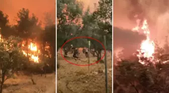 4 gündür süren yangında dehşet veren görüntüler: Abi çıkmamız lazım, ortada kaldık