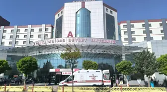 Eskişehir'deki Orman Yangınında 5 Yaralı Taburcu Edildi, 10 Kişi Şehit Oldu