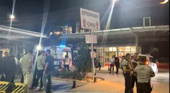 Afyonkarahisar'daki Orman Yangınına Müdahale Eden 5 Görevli Taburcu Edildi