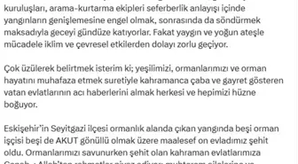 Devlet Bahçeli'den Orman Yangınları Açıklaması: 'Çok Üzülerek Belirtmek İsterim'