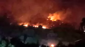 İzmir Dikili'de Orman Yangını, Yol Ulaşıma Kapandı