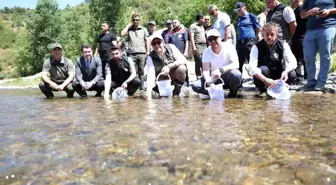 Düzce'de 20 Bin Alabalık ve 5 Kukumav Kuşu Doğaya Salındı