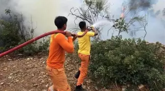 Hatay'da Orman Yangını Kısa Sürede Kontrol Altına Alındı