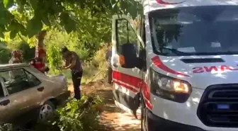 Akyazı'da Otomobil Ağaca Çarptı: Karı-Koca Yaralandı