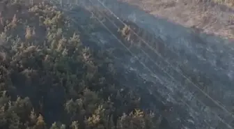 Manisa'da Orman Yangınına 2. Gün Müdahale Devam Ediyor