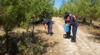 Aydın'da Orman Yangınları İçin Denetimler Artırıldı