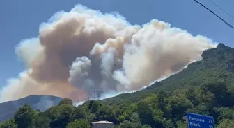 Geyve'deki Orman Yangını Kısmen Kontrol Altında, Bir Mahalle Boşaltıldı