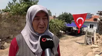 Şehit orman işçisinin halası konuştu