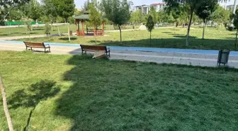 Siirt'te Sıcak Hava Nedeniyle Bir Kadın Baygınlık Geçirdi