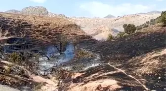 Silopi'de Çıkan Yangın Kontrol Altına Alındı