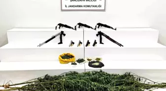 Viranşehir'de Jandarmadan Silah ve Uyuşturucu Operasyonu