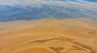 Yalova'da Atık Yağ Kirliliği İncelemesi Başlatıldı