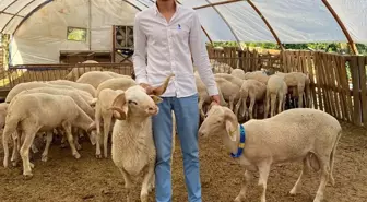 Yüksek Kar Vaadiyle Dolandırıcılık Yapan Hasan Umut Türe Tutuklandı