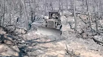 Orman Yangınında Şehit Olan AKUT Gönüllüleri ve Orman İşçilerinin Görüntüleri Ortaya Çıktı