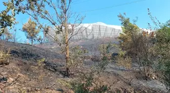 Alanya'da Makilik Alanda Yangın Kontrol Altına Alındı