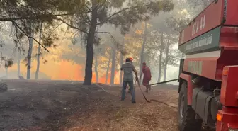 Manavgat'ta Yangın Çıktı: Ekipler Havadan ve Karadan Müdahale Ediyor