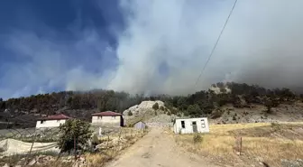 Antalya'da Orman Yangını: Söğüt Yaylası ve Gazipaşa'da Müdahale Devam Ediyor