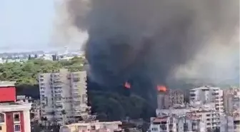 Antalya'da Orman Yangını