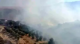 Manavgat'ta Yangın: İtfaiye ve Orman Ekipleri Müdahale Ediyor