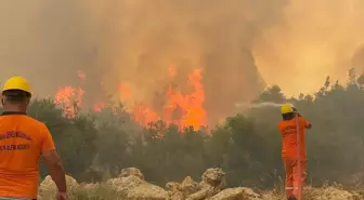 Antalya'da 46,1 Derece Sıcaklık ve Art Arda Orman Yangınları