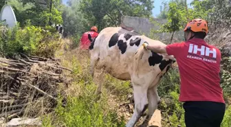 Antalya'da Orman Yangını Yerleşim Yerlerine Ulaştı