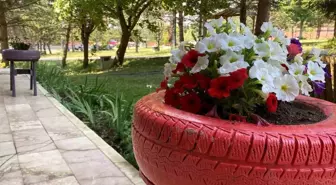 Bolu Abant İzzet Baysal Üniversitesi'nde Geri Dönüşüm Projesi: Evlerdeki Eski Eşyalar Çiçekliğe Dönüştürüldü