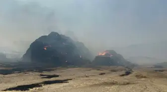 Aydın'da Yangın Hayvan Çiftliğini Tehdit Etti