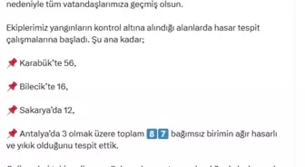 Orman Yangınlarında 87 Bağımsız Birim Hasar Gördü