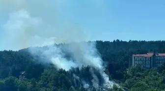 Bolu'da Ormanlık Alanda Yangın Kontrol Altına Alındı