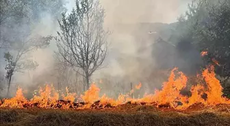 Bolu'da Anız Yangını, Evleri Korkuttu