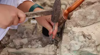 Çankırı'da Fosil Kazı Çalışmaları Devam Ediyor