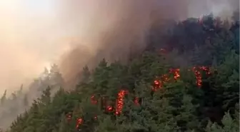 Denizli'de Boş Evdeki Yangın Ormana Sıçradı