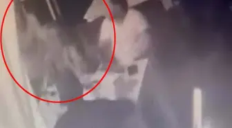 Bodrum'da Eğlence Mekanında Şok Eden Saldırı