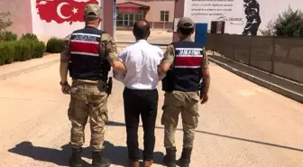 Gaziantep'te Jandarma Operasyonunda Kaçak Şahıs Yakalandı