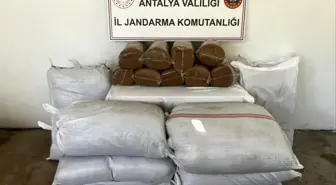 Gazipaşa'da 800 Kilogram Bandrolsüz Tütün Ele Geçirildi