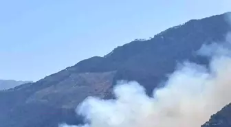 Antalya'da Orman Yangını: Ekipler Hızla Müdahale Ediyor